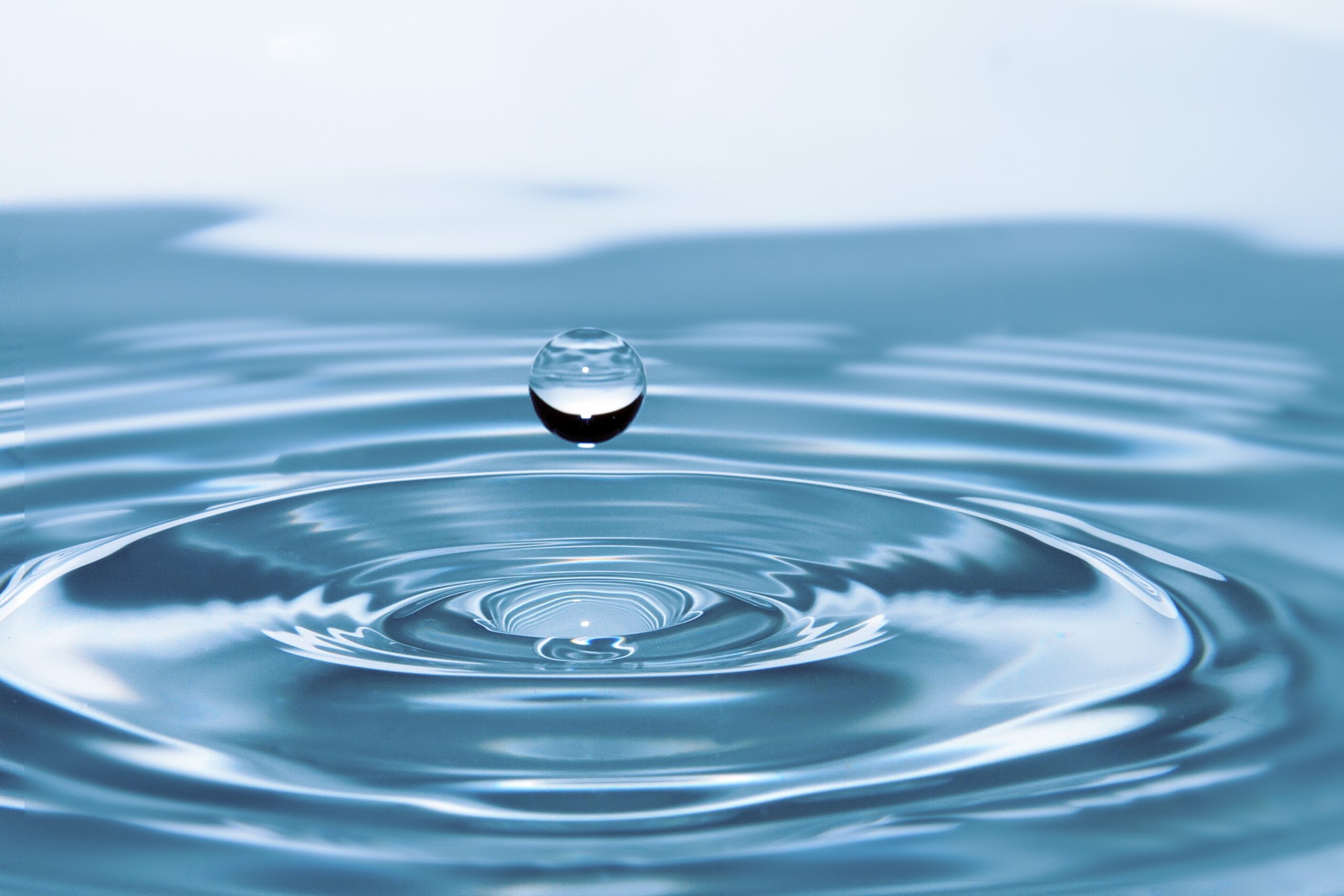 Brauwasser